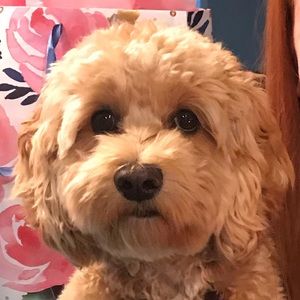 Meet your Posher, Beth